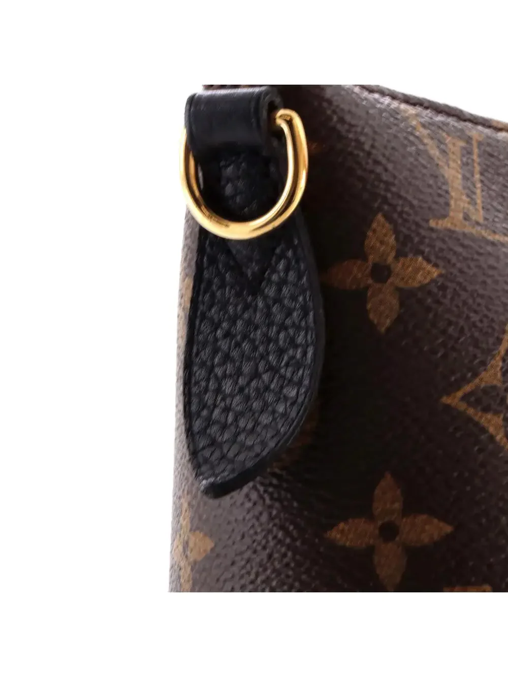 Louis Vuitton introducing louis